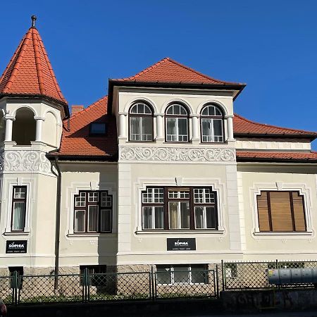 Vila Marioara Sibiu Bagian luar foto